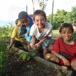 community-garden-21