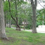 view-from-rec-hall-toward-beach-trail