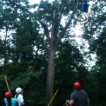 high-ropes-8